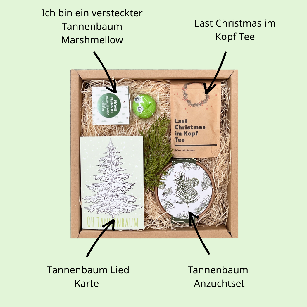Christbaum Anzucht Set Geschenkbox