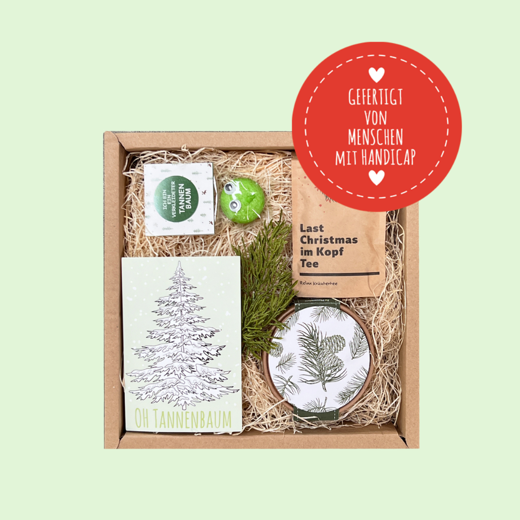 Christbaum Anzucht Set Geschenkbox
