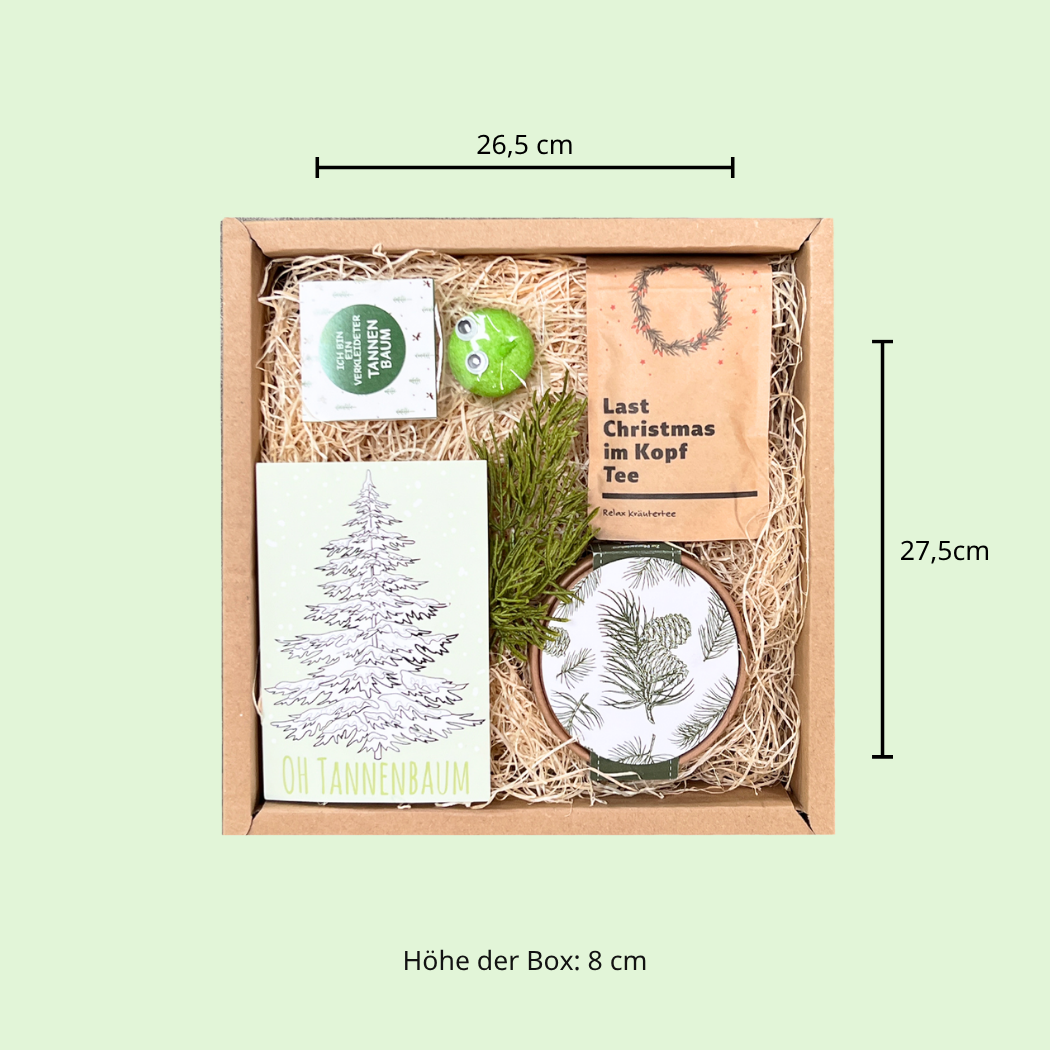 Christbaum Anzucht Set Geschenkbox