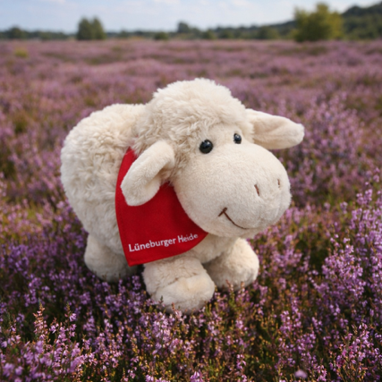 Plüschschaf Lüneburger Heide