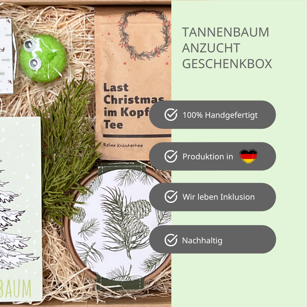 Christbaum Anzucht Set Geschenkbox